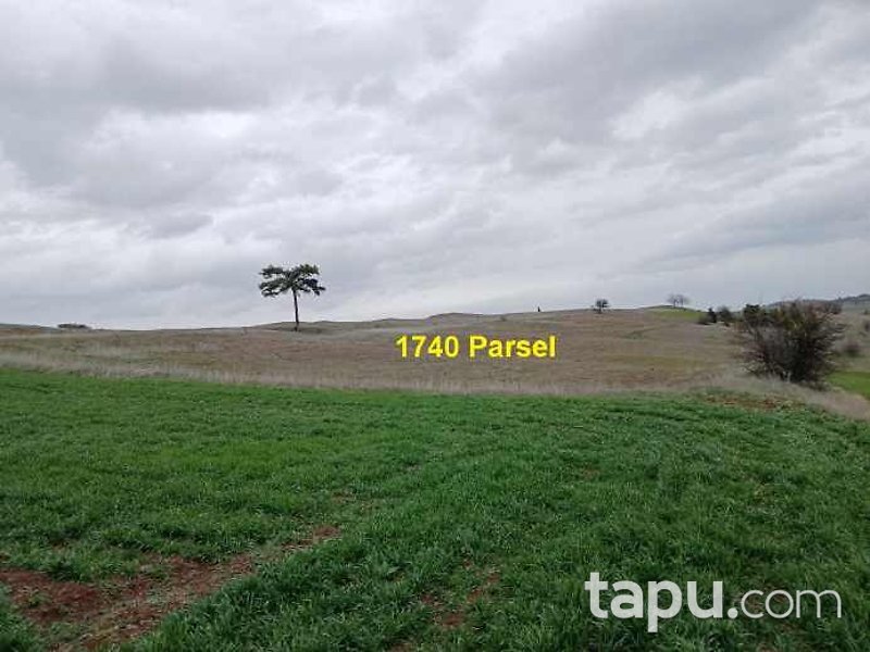 Eskişehir İnönü Dereyalak Mahallesi'nde Hisseli 17 Dönüm Tarla