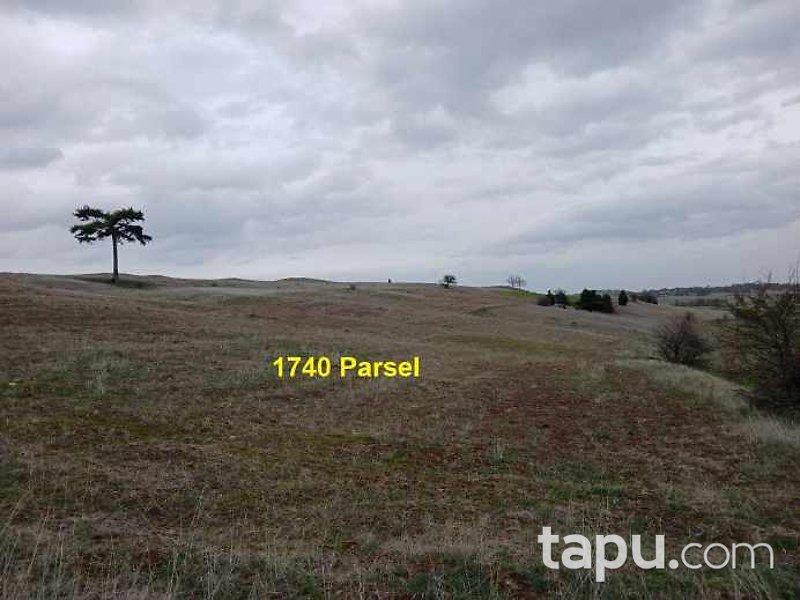 Eskişehir İnönü Dereyalak Mahallesi'nde Hisseli 17 Dönüm Tarla