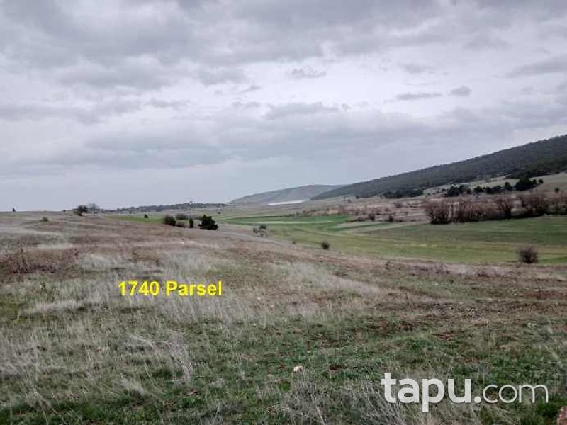 Eskişehir İnönü Dereyalak Mahallesi'nde Hisseli 17 Dönüm Tarla