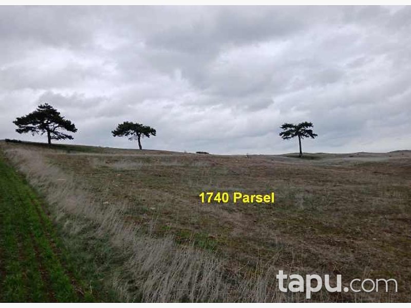 Eskişehir İnönü Dereyalak Mahallesi'nde Hisseli 17 Dönüm Tarla