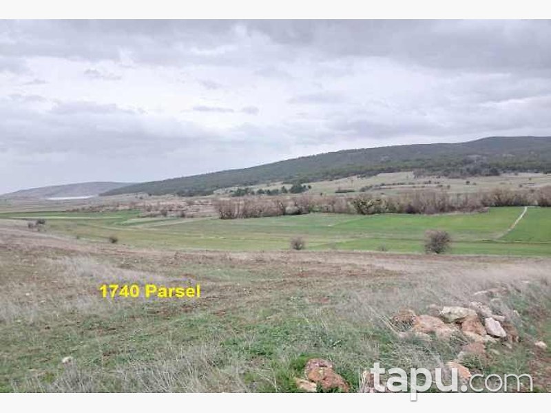 Eskişehir İnönü Dereyalak Mahallesi'nde Hisseli 17 Dönüm Tarla