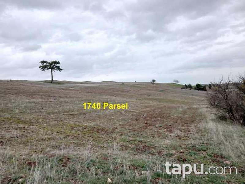 Eskişehir İnönü Dereyalak Mahallesi'nde Hisseli 17 Dönüm Tarla