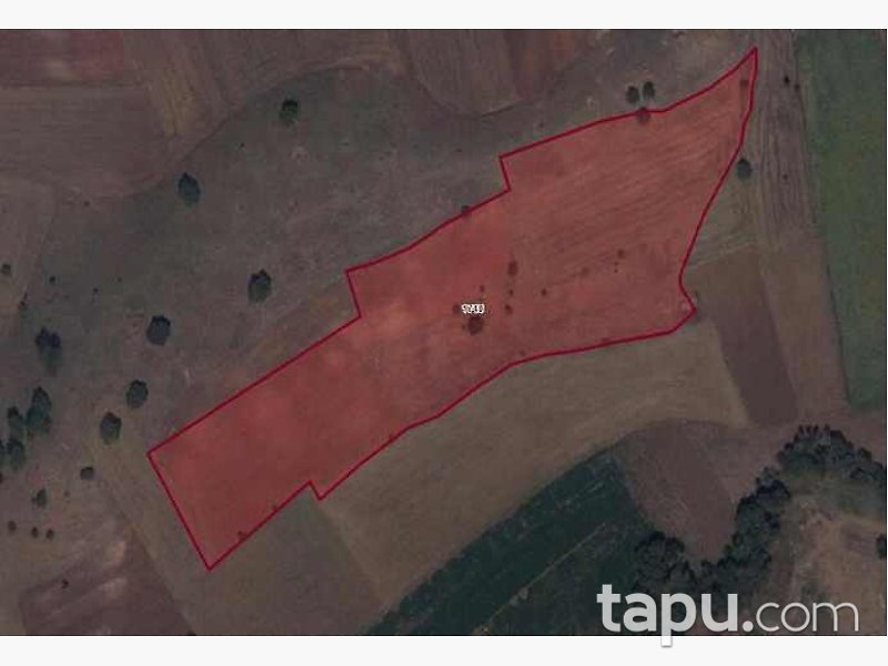 Eskişehir İnönü Dereyalak Mahallesi'nde Hisseli 17 Dönüm Tarla