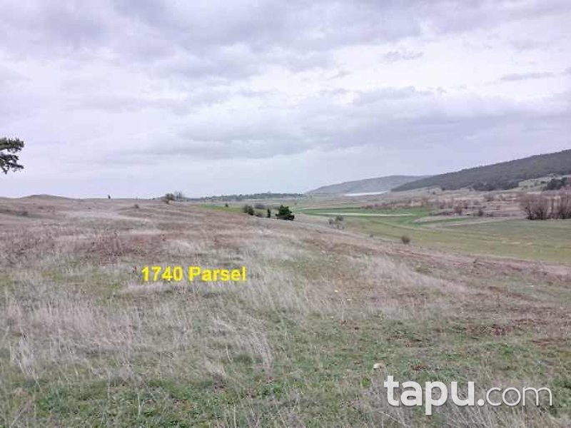 Eskişehir İnönü Dereyalak Mahallesi'nde Hisseli 17 Dönüm Tarla