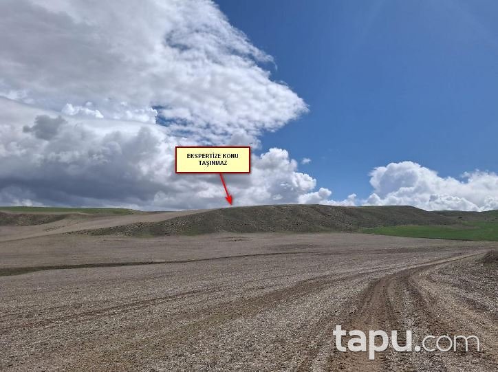 Kırşehir Akçakent Ömer Uşağı Köyü'nde Hisseli 34 Dönüm Tarla