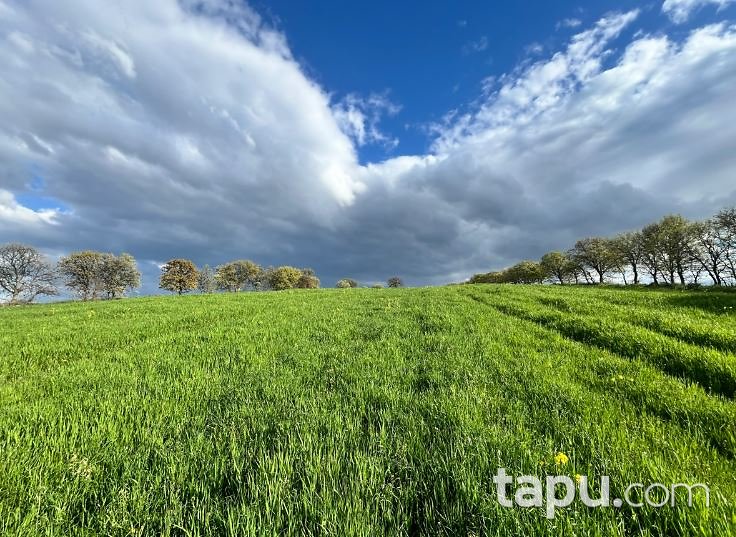 Manisa Salihli Mersinli'de 13.468 m2 Palamutlu Tarla