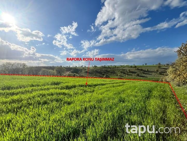 Manisa Salihli Mersinli'de 13.468 m2 Palamutlu Tarla