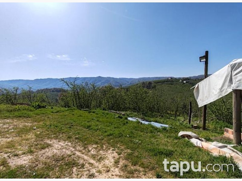 Düzce Akçakoca Tepeköy'de Hisseli 5676 m2 tarla