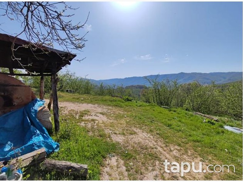 Düzce Akçakoca Tepeköy'de Hisseli 5676 m2 tarla