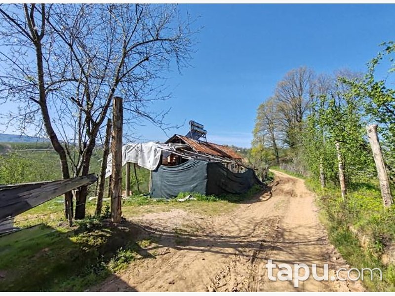 Düzce Akçakoca Tepeköy'de Hisseli 5676 m2 tarla