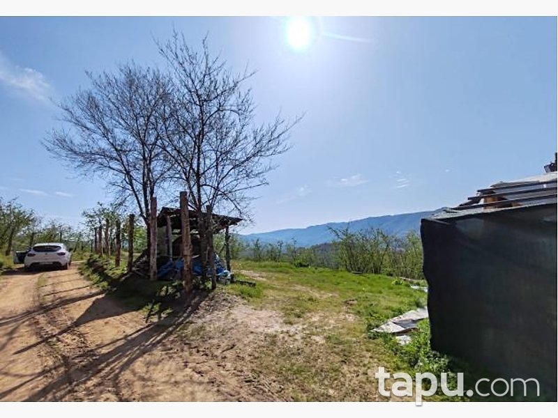 Düzce Akçakoca Tepeköy'de Hisseli 5676 m2 tarla