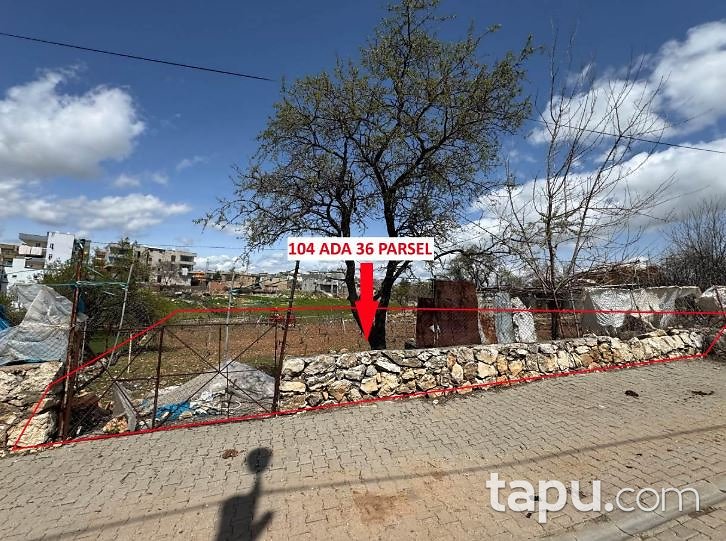 Siirt Kurtalan Kayabağlar/Kayalı'da 1.333 m2 Bağ