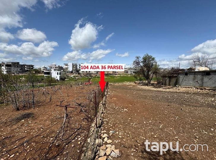 Siirt Kurtalan Kayabağlar/Kayalı'da 1.333 m2 Bağ