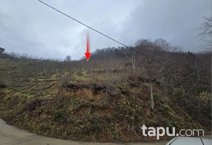 Trabzon Araklı Değirmencik'te 2 Dönüm Fındık Bahçesi