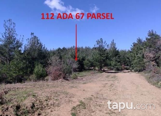 Çanakkale Merkez Kirazlı'da 39 Dönüm Tarla