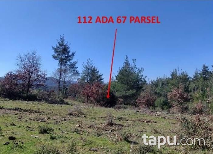Çanakkale Merkez Kirazlı'da 39 Dönüm Tarla