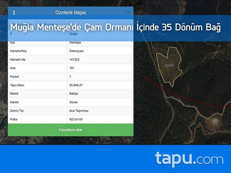 Muğla Menteşe'de Çam Ormanı İçinde 35 Dönüm Bağ