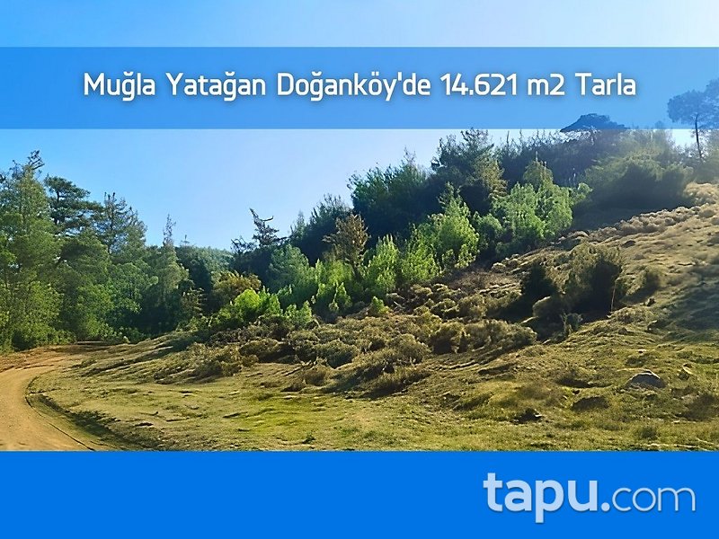 Muğla Yatağan Doğanköy'de 14.621 m2 Tarla