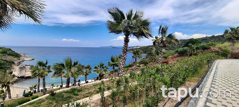 Bodrum’a Komşu Milas’ta Doğa İçinde 3+1 Villa (306572 )
