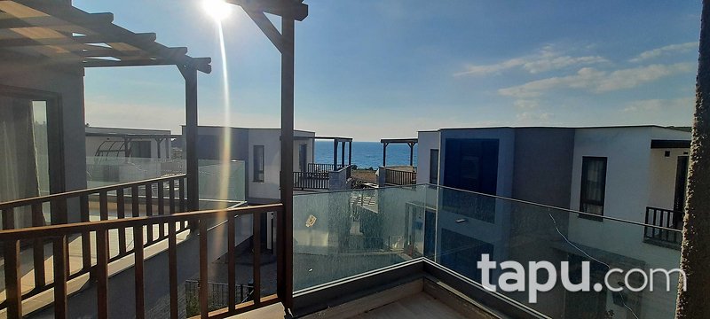 Bodrum Bölgesinde Ulaşımı Kolay, Doğayla İç İçe 3+1 Villa (306568 )