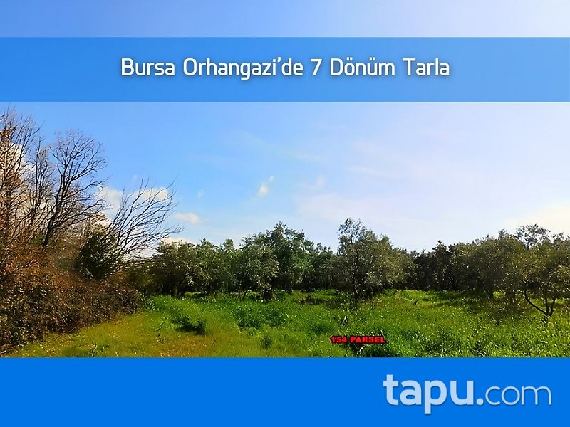 Bursa Orhangazi Üreğil Mahallesi'nde 7 Dönüm Tarla