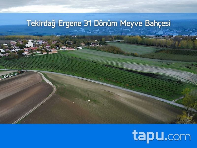 Tekirdağ Ergene Paşaköy'de 31 Dönüm Meyve Bahçesi