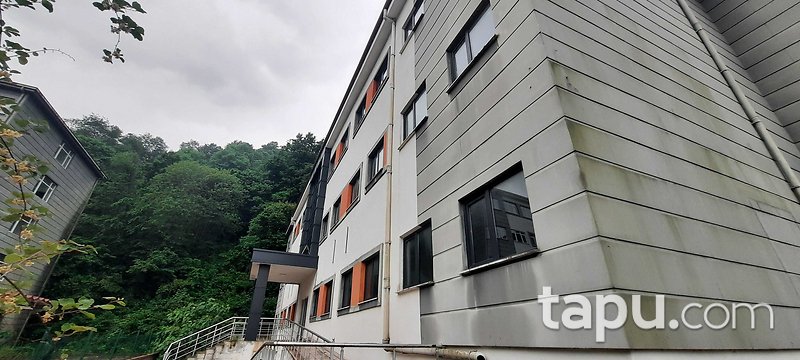 Rize Pazar'da 6807 m2 Hazır Okul Kompleksi (305145 )