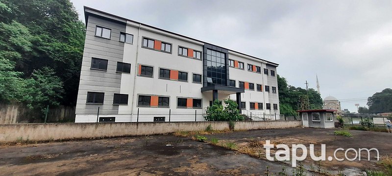 Rize Pazar'da 6807 m2 Hazır Okul Kompleksi (305145 )