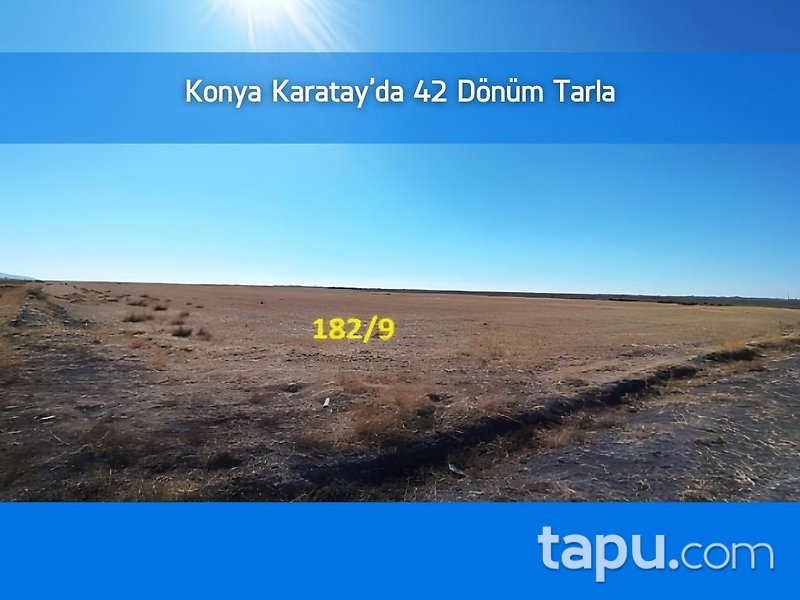 Konya Karatay Zencirli'de 42 Dönüm Tarla (306747 )