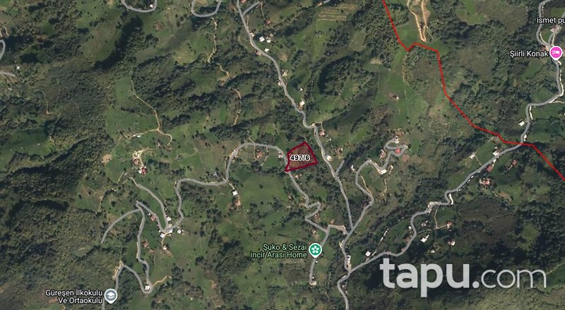 Artvin Borçka'da 5.523 m2 Çay Bahçesi