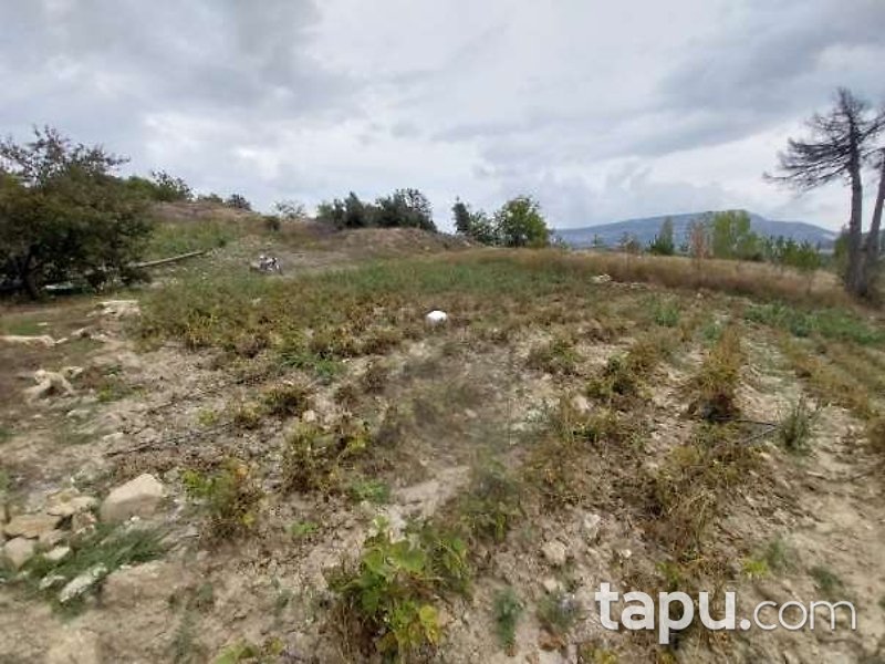 Antalya Kumluca'da 3.681 m2 Tarla