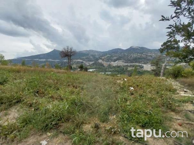 Antalya Kumluca'da 3.681 m2 Tarla