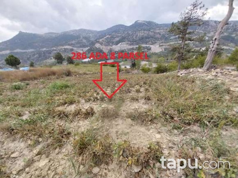 Antalya Kumluca'da 3.681 m2 Tarla