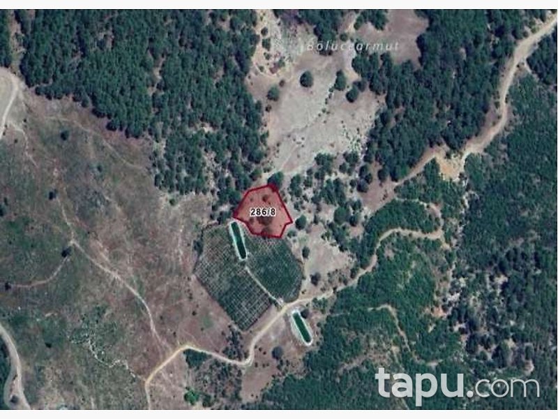Antalya Kumluca'da 3.681 m2 Tarla