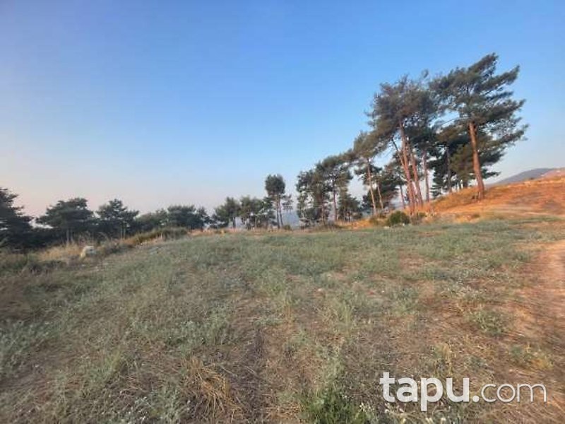 Uşak Sivaslı'da 10.787 m2 Tarla