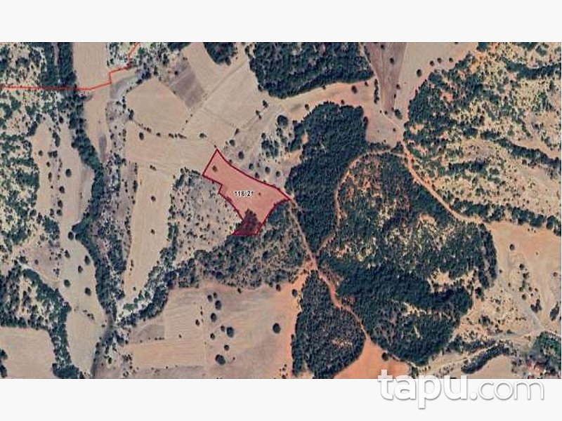 Uşak Sivaslı'da 10.787 m2 Tarla