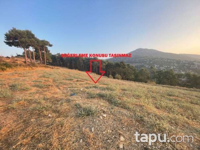 Uşak Sivaslı'da 10.787 m2 Tarla