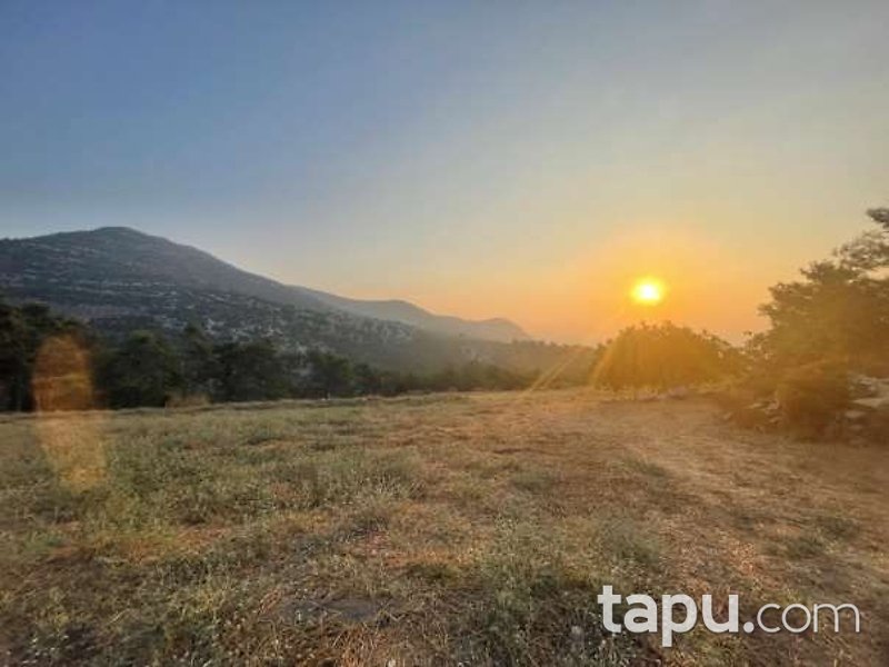 Uşak Sivaslı'da 10.787 m2 Tarla