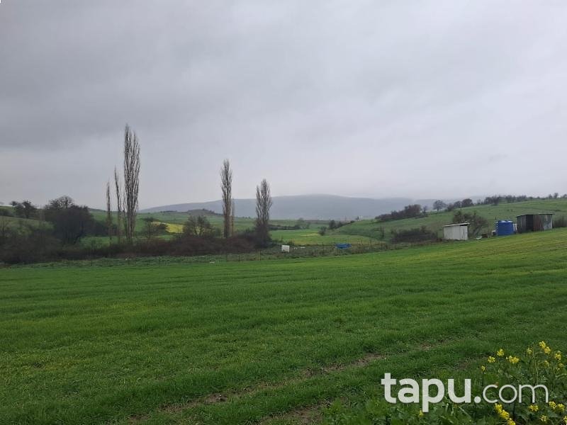 Kepsut Mahmudiye'de Hisseli 8.300 m2 Tarla (AS-01913)