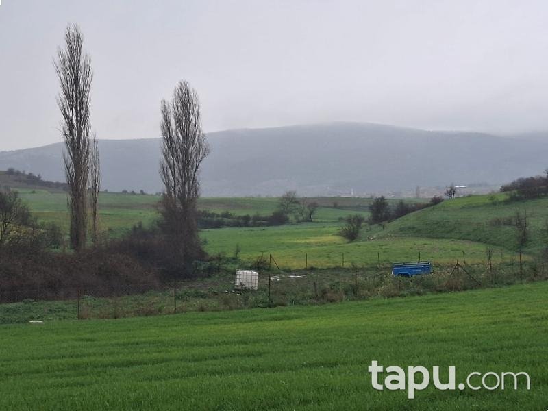 Kepsut Mahmudiye'de Hisseli 8.300 m2 Tarla (AS-01913)