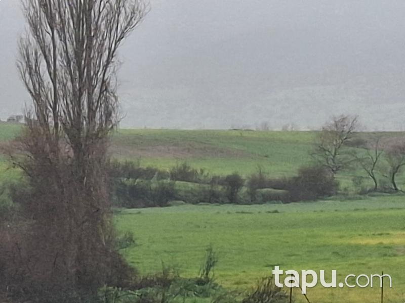 Kepsut Mahmudiye'de Hisseli 8.300 m2 Tarla (AS-01913)