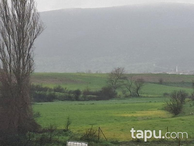 Kepsut Mahmudiye'de Hisseli 8.300 m2 Tarla (AS-01913)