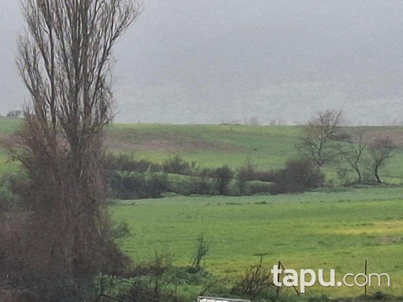 Kepsut Mahmudiye'de Hisseli 8.300 m2 Tarla (AS-01913)