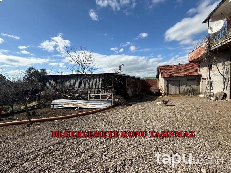 Balıkesir Kepsut Hotaşlar'da Hisseli Arazi ( AS-00342)