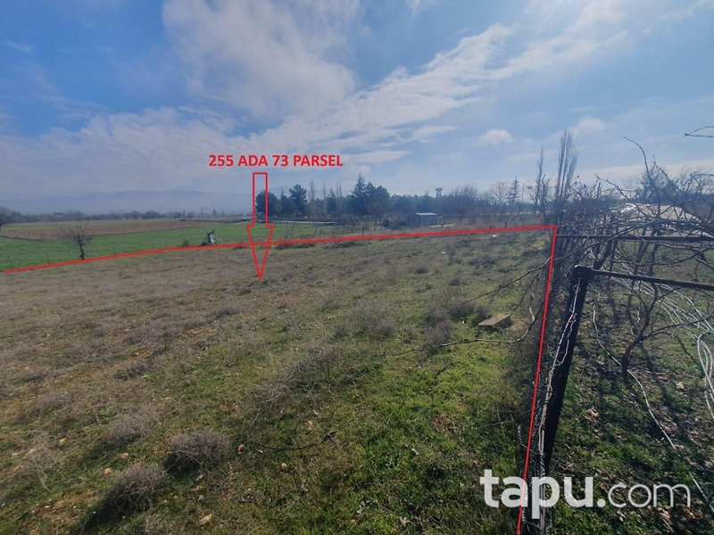 Uşak Sivaslı'da 2.050 m2 Bağ (AS-01310)