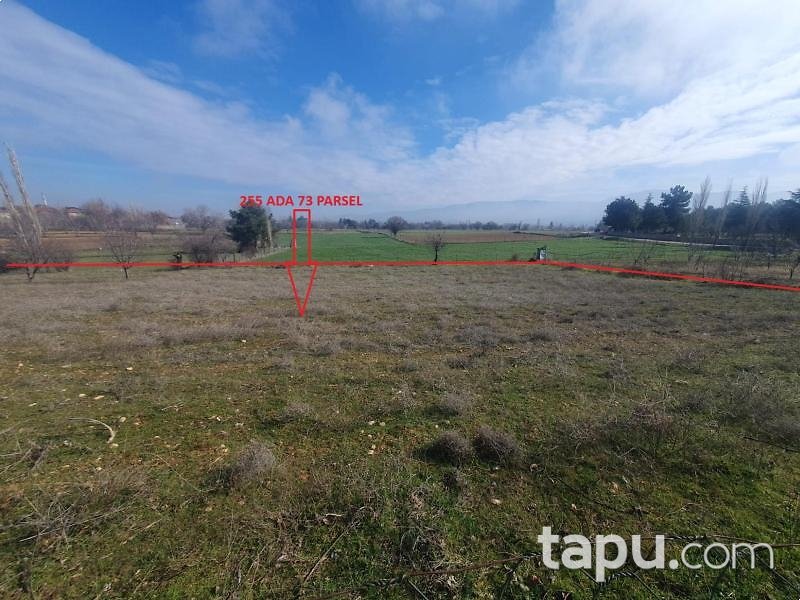 Uşak Sivaslı'da 2.050 m2 Bağ (AS-01310)