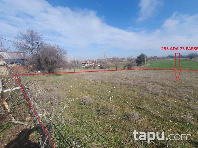 Uşak Sivaslı'da 2.050 m2 Bağ (AS-01310)