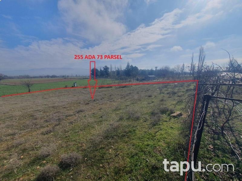 Uşak Sivaslı'da 2.050 m2 Bağ (AS-01310)