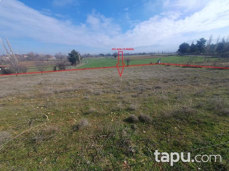 Uşak Sivaslı'da 2.050 m2 Bağ (AS-01310)