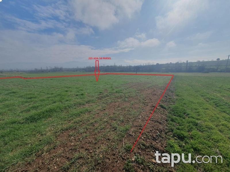 Uşak Sivaslı'da 2.371 m2 Tarla (AS-01311)